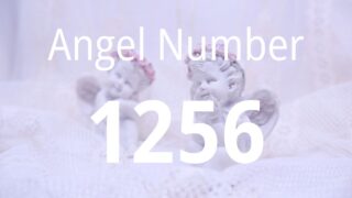 1256
