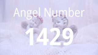 1429