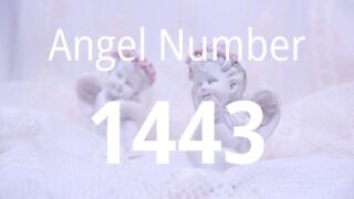 1443